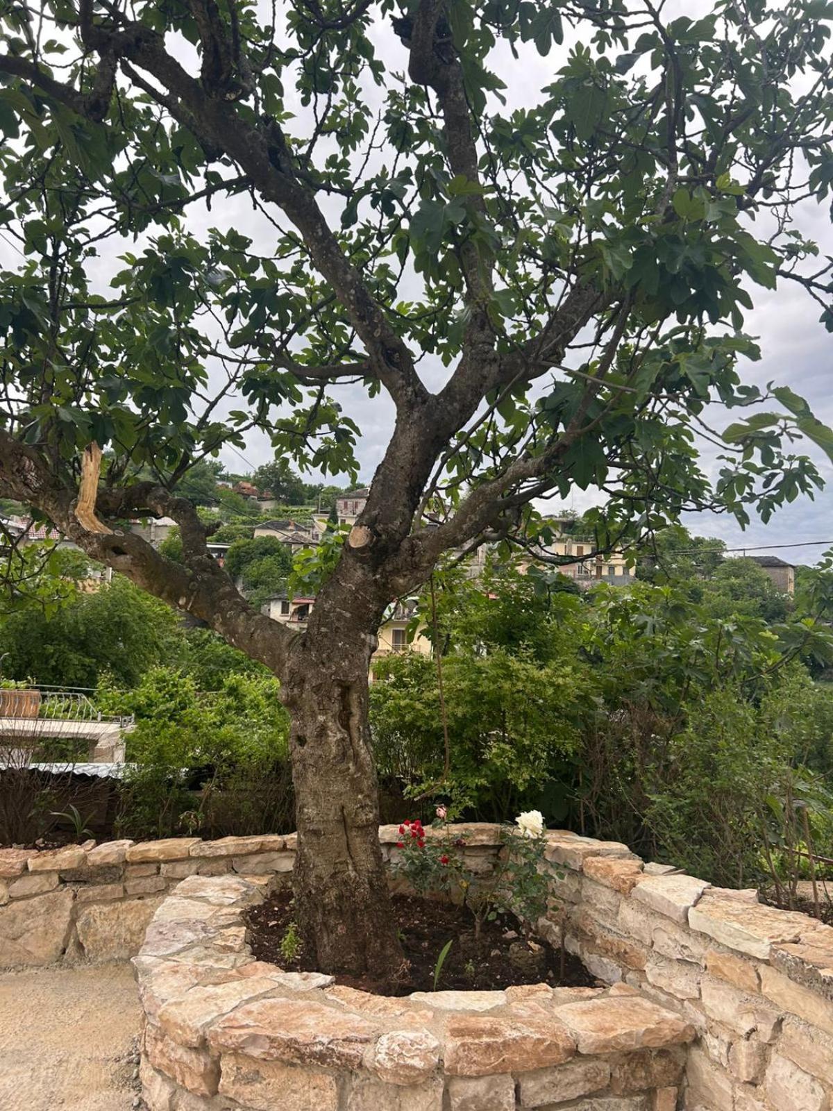 Guest House Lengo Gjirokaster Luaran gambar